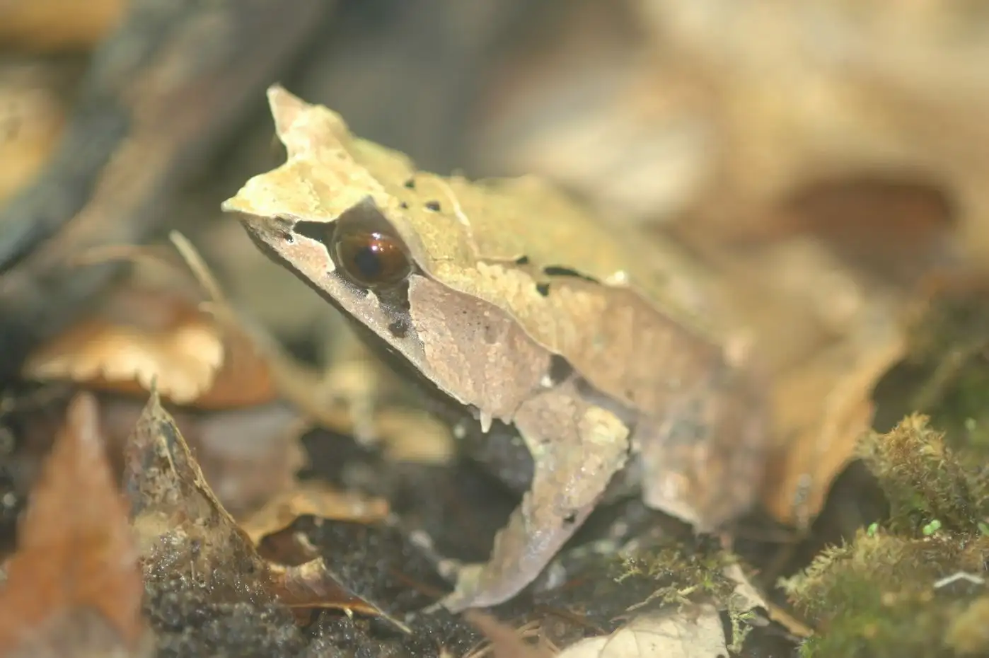 谎言是万恶之始